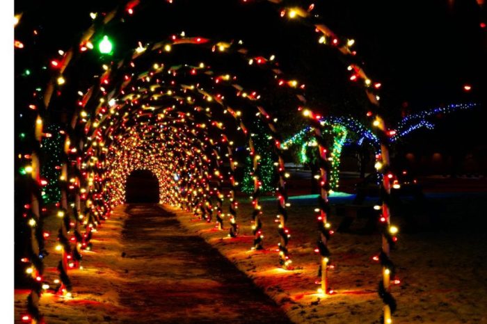 Diy christmas light driveway arches