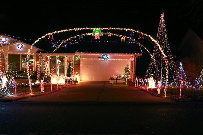 Diy christmas light driveway arches