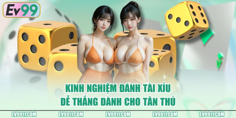Kinh nghiệm đánh Tài Xỉu dễ thắng dành cho tân thủ